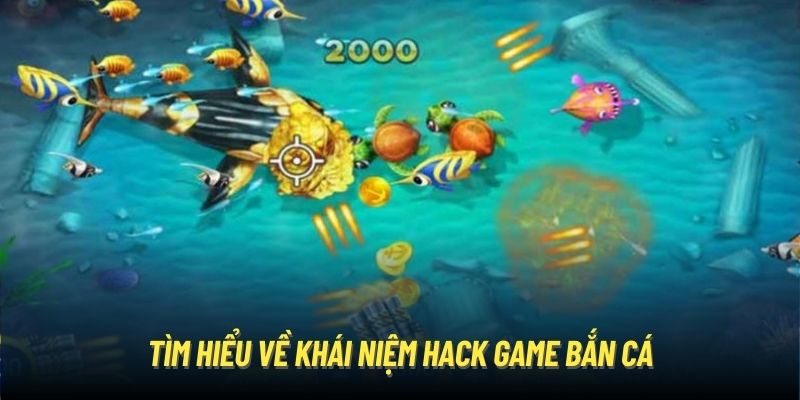 Tìm hiểu về khái niệm hack game bắn cá